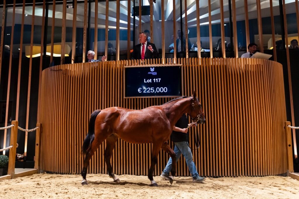 Original Piya Top Price ARQANA Deauville