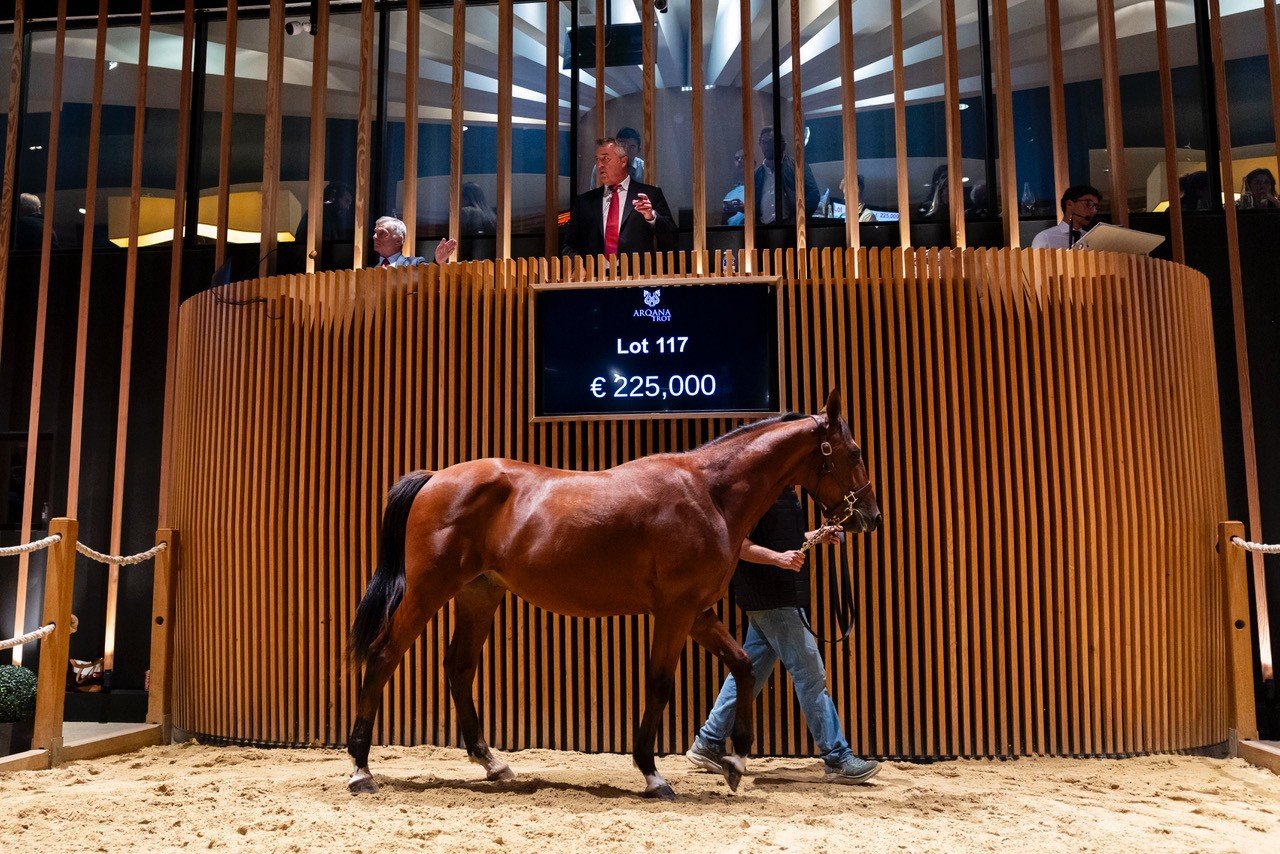 Original Piya Top Price ARQANA Deauville