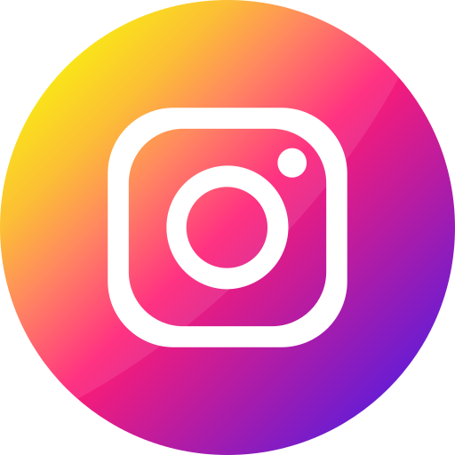 Icone Instagram