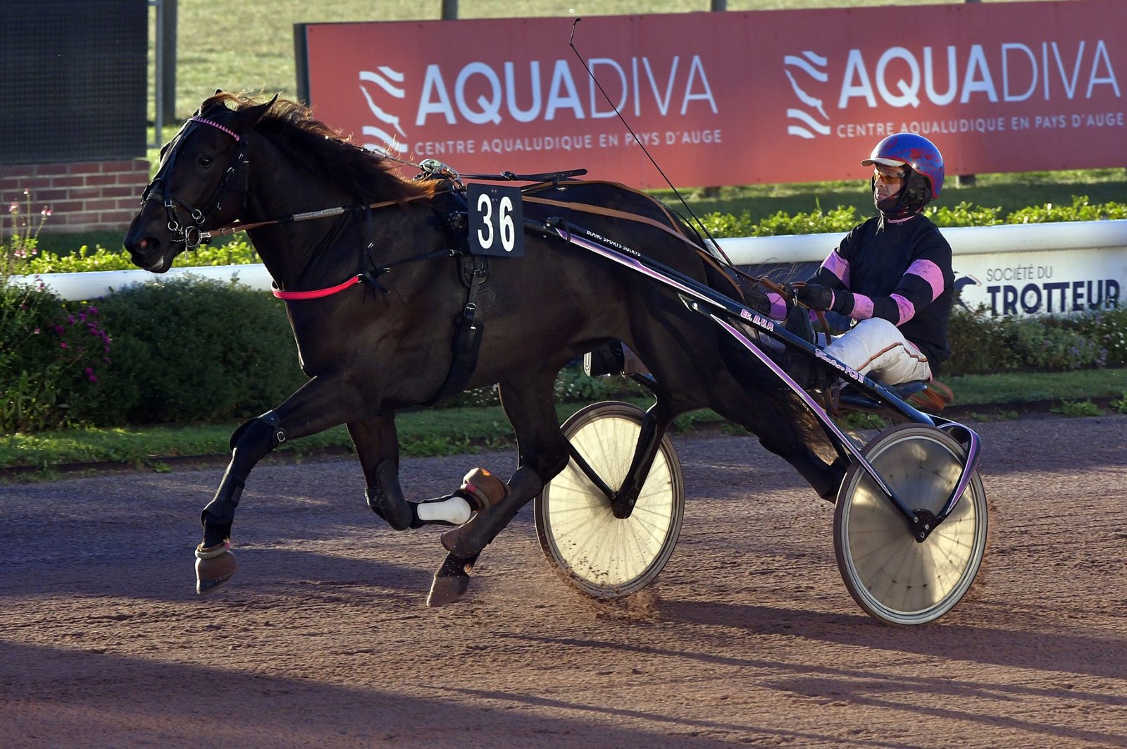 Photo de ORGIE PIYA aux qualifications à Cabourg
